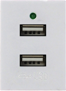 Ổ cắm đôi USB size M 5V/2A S2B622